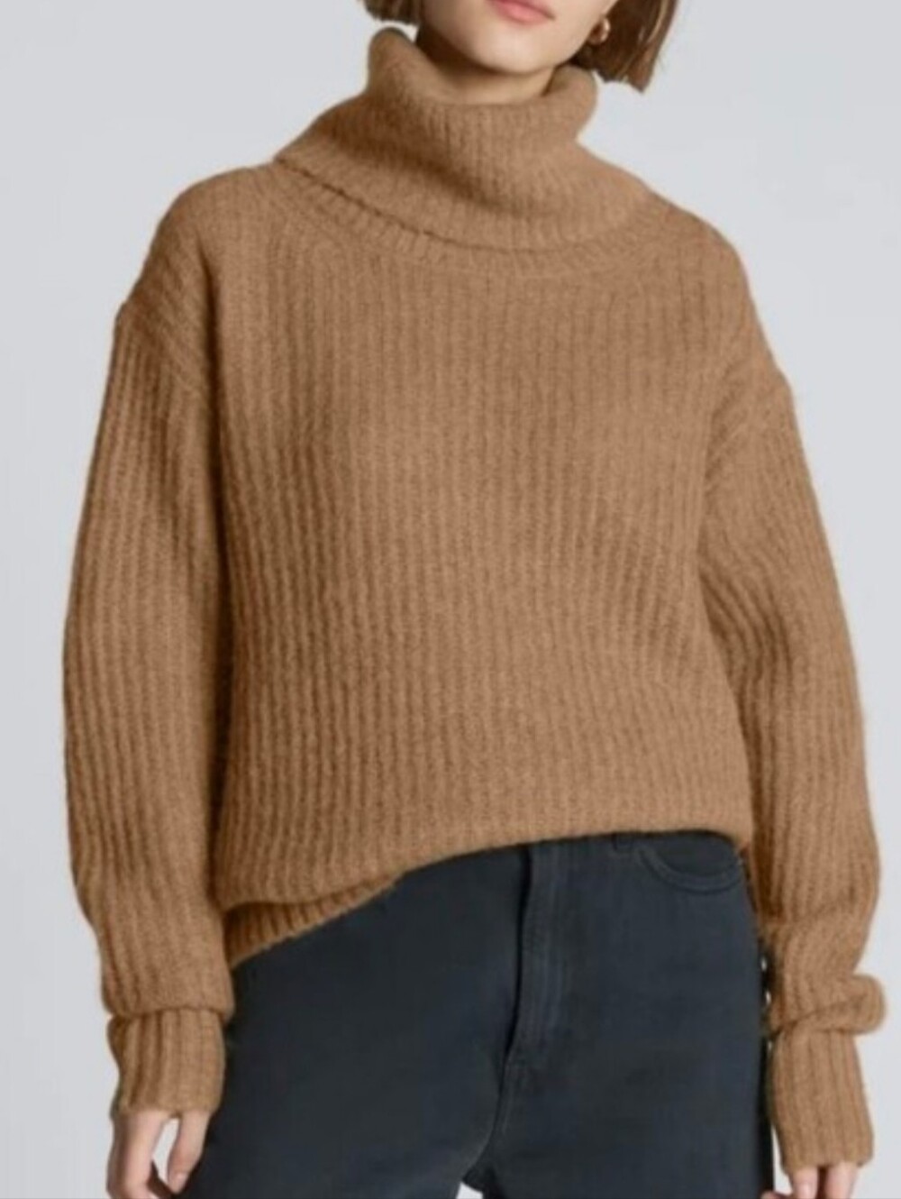 Everlane The Alpaca Wool Blend Oversized Turtleneck In Cappuccino Size Small